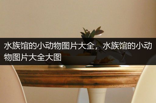 水族馆的小动物图片大全，水族馆的小动物图片大全大图