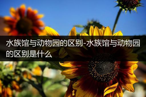 水族馆与动物园的区别-水族馆与动物园的区别是什么
