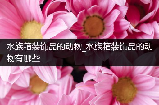 水族箱装饰品的动物_水族箱装饰品的动物有哪些