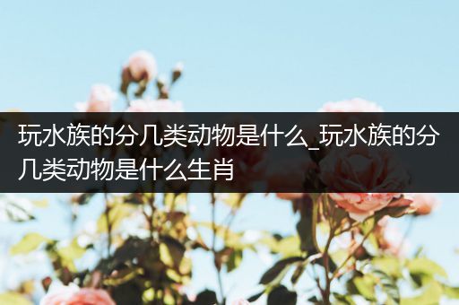 玩水族的分几类动物是什么_玩水族的分几类动物是什么生肖