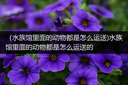 （水族馆里面的动物都是怎么运送)水族馆里面的动物都是怎么运送的