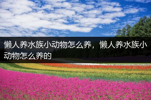 懒人养水族小动物怎么养，懒人养水族小动物怎么养的