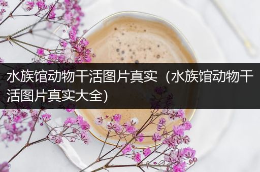 水族馆动物干活图片真实（水族馆动物干活图片真实大全）