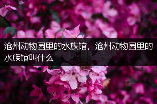 沧州动物园里的水族馆，沧州动物园里的水族馆叫什么