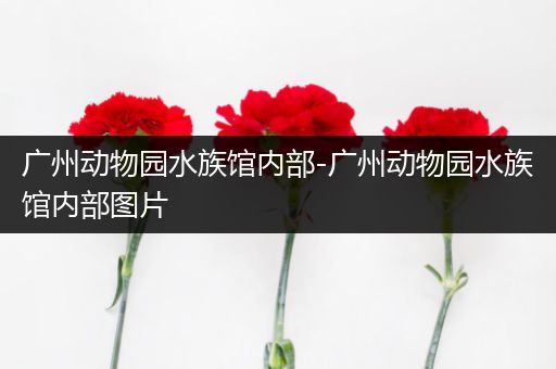 广州动物园水族馆内部-广州动物园水族馆内部图片