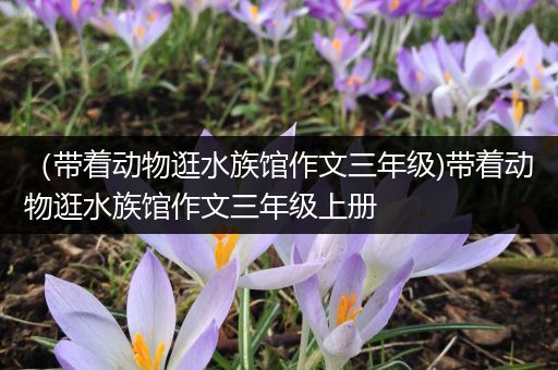 （带着动物逛水族馆作文三年级)带着动物逛水族馆作文三年级上册