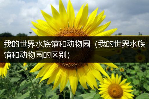 我的世界水族馆和动物园（我的世界水族馆和动物园的区别）