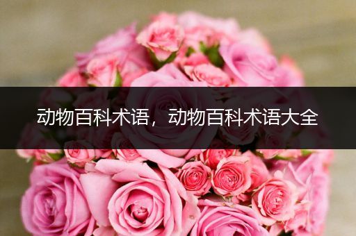 动物百科术语，动物百科术语大全