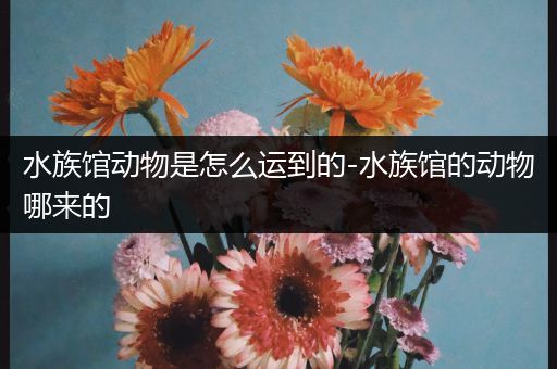 水族馆动物是怎么运到的-水族馆的动物哪来的