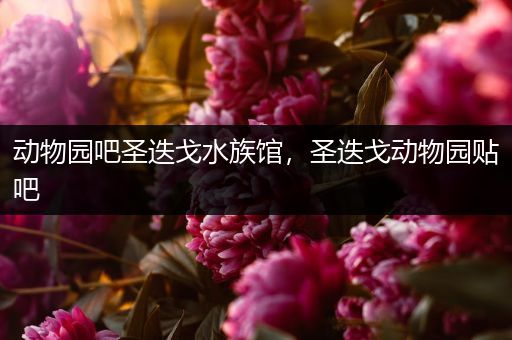 动物园吧圣迭戈水族馆，圣迭戈动物园贴吧