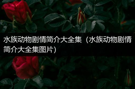 水族动物剧情简介大全集（水族动物剧情简介大全集图片）