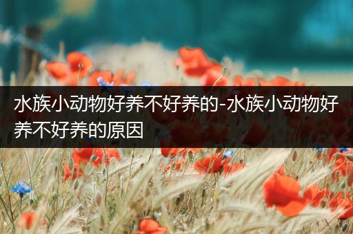 水族小动物好养不好养的-水族小动物好养不好养的原因