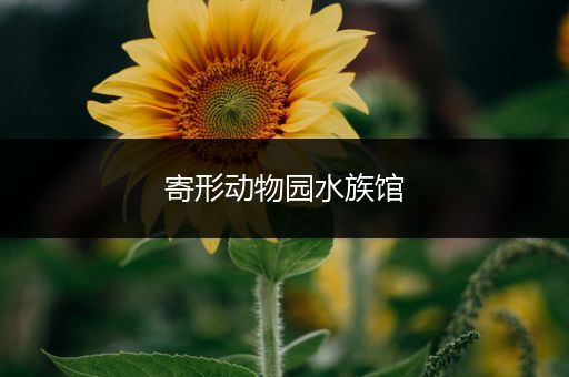 寄形动物园水族馆