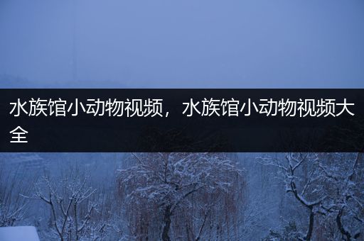 水族馆小动物视频，水族馆小动物视频大全