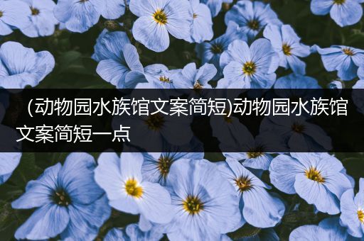 （动物园水族馆文案简短)动物园水族馆文案简短一点