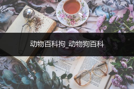 动物百科拘_动物狗百科