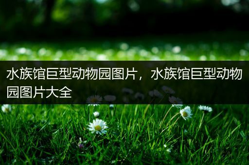 水族馆巨型动物园图片，水族馆巨型动物园图片大全