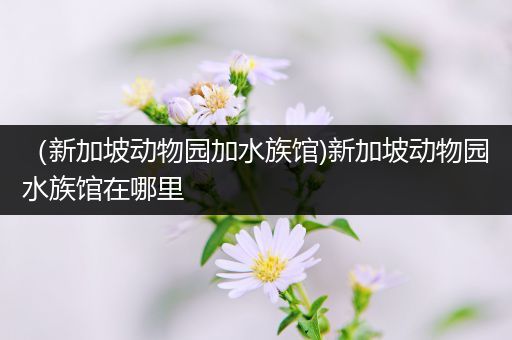 （新加坡动物园加水族馆)新加坡动物园水族馆在哪里