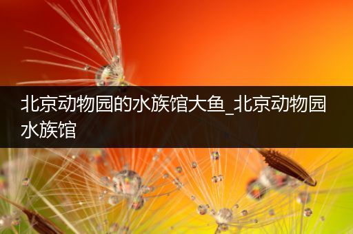 北京动物园的水族馆大鱼_北京动物园 水族馆