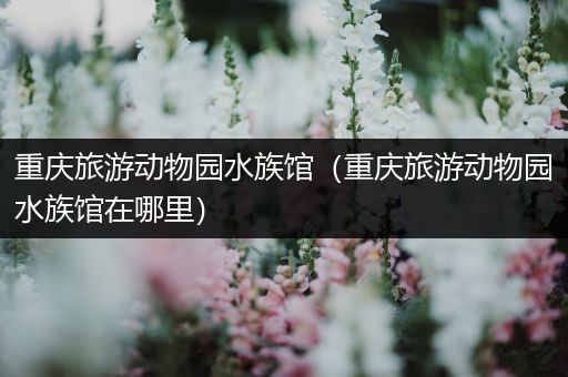 重庆旅游动物园水族馆（重庆旅游动物园水族馆在哪里）