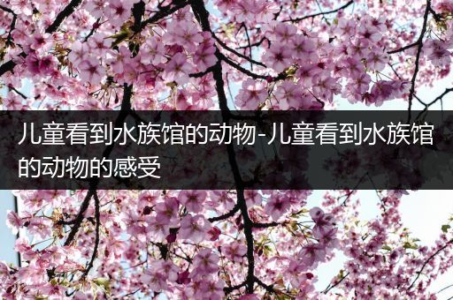 儿童看到水族馆的动物-儿童看到水族馆的动物的感受