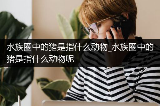 水族圈中的猪是指什么动物_水族圈中的猪是指什么动物呢