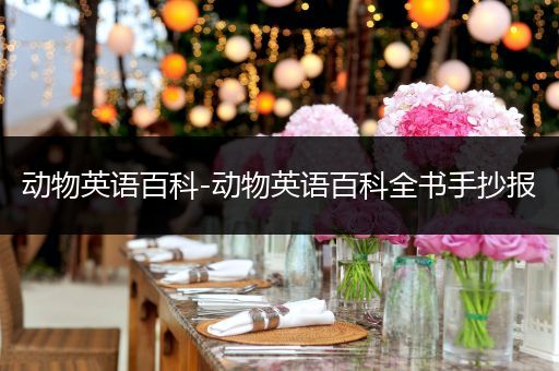 动物英语百科-动物英语百科全书手抄报