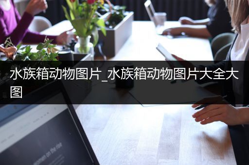 水族箱动物图片_水族箱动物图片大全大图