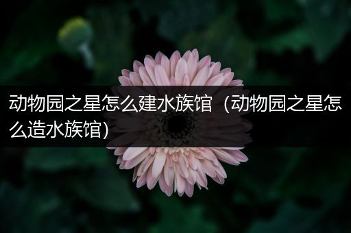 动物园之星怎么建水族馆（动物园之星怎么造水族馆）