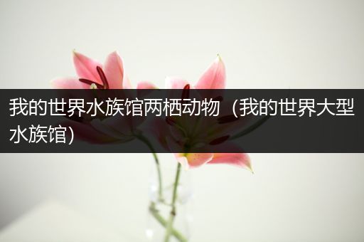 我的世界水族馆两栖动物（我的世界大型水族馆）