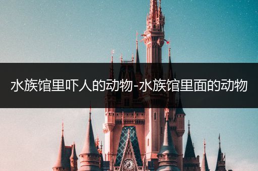 水族馆里吓人的动物-水族馆里面的动物