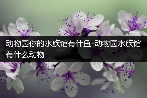 动物园你的水族馆有什鱼-动物园水族馆有什么动物