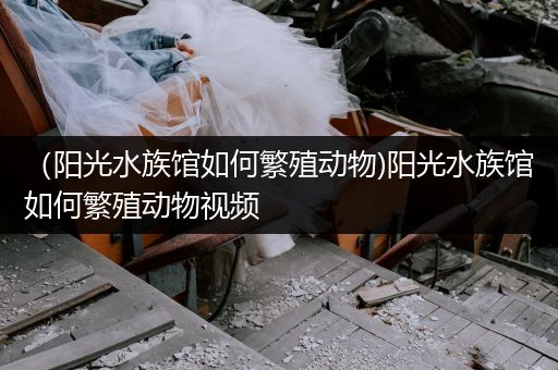 （阳光水族馆如何繁殖动物)阳光水族馆如何繁殖动物视频