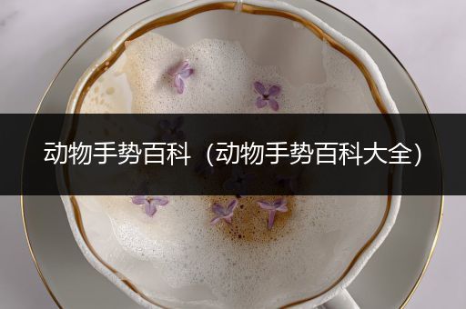 动物手势百科（动物手势百科大全）