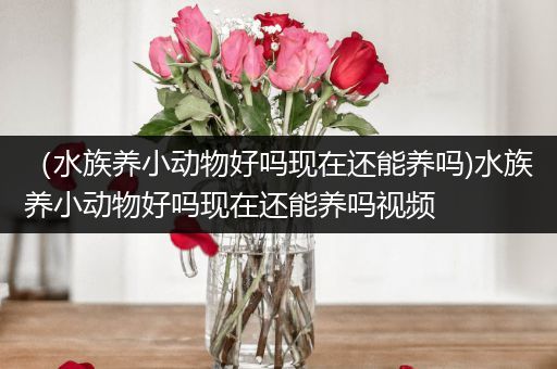 （水族养小动物好吗现在还能养吗)水族养小动物好吗现在还能养吗视频