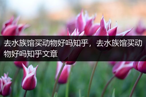 去水族馆买动物好吗知乎，去水族馆买动物好吗知乎文章