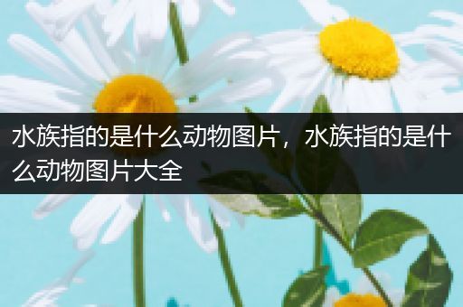 水族指的是什么动物图片，水族指的是什么动物图片大全