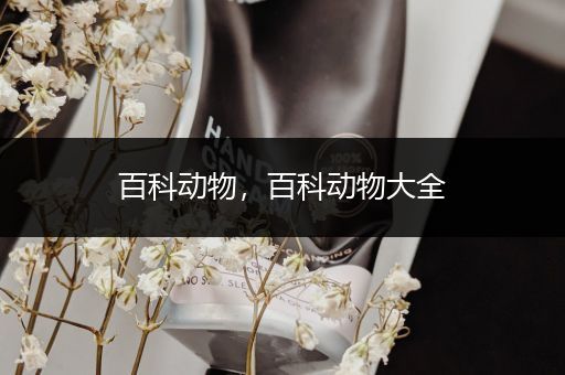 百科动物，百科动物大全