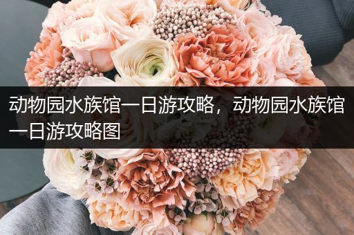 动物园水族馆一日游攻略，动物园水族馆一日游攻略图