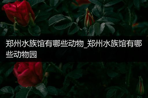 郑州水族馆有哪些动物_郑州水族馆有哪些动物园
