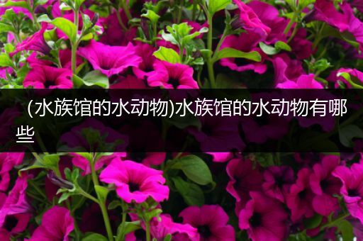 （水族馆的水动物)水族馆的水动物有哪些