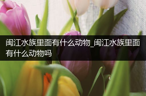 闽江水族里面有什么动物_闽江水族里面有什么动物吗