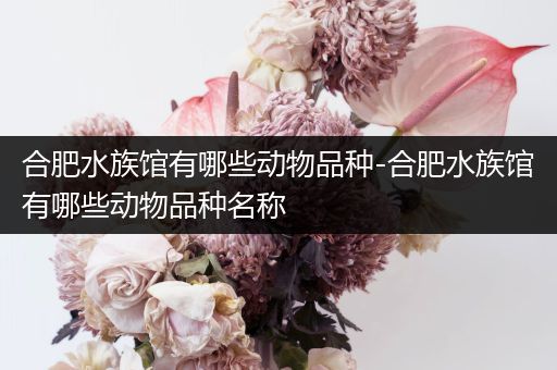 合肥水族馆有哪些动物品种-合肥水族馆有哪些动物品种名称