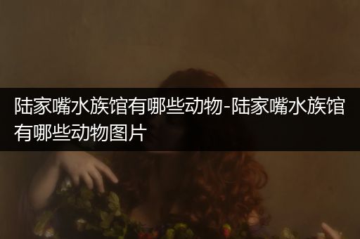 陆家嘴水族馆有哪些动物-陆家嘴水族馆有哪些动物图片