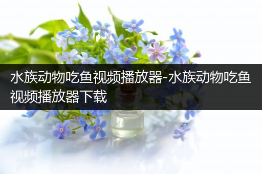 水族动物吃鱼视频播放器-水族动物吃鱼视频播放器下载