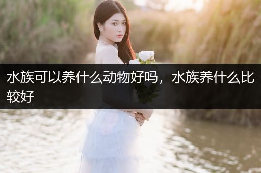 水族可以养什么动物好吗，水族养什么比较好