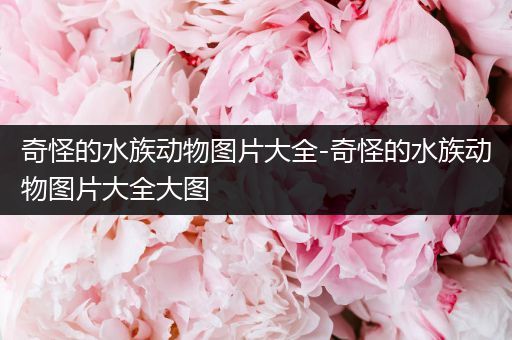 奇怪的水族动物图片大全-奇怪的水族动物图片大全大图