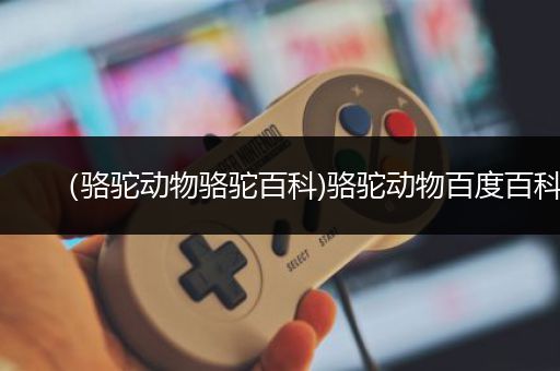 （骆驼动物骆驼百科)骆驼动物百度百科