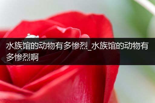 水族馆的动物有多惨烈_水族馆的动物有多惨烈啊