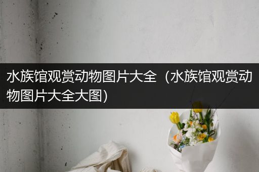水族馆观赏动物图片大全（水族馆观赏动物图片大全大图）